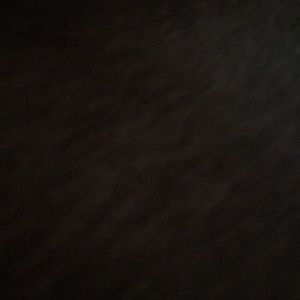 Meet your Posher, Allie